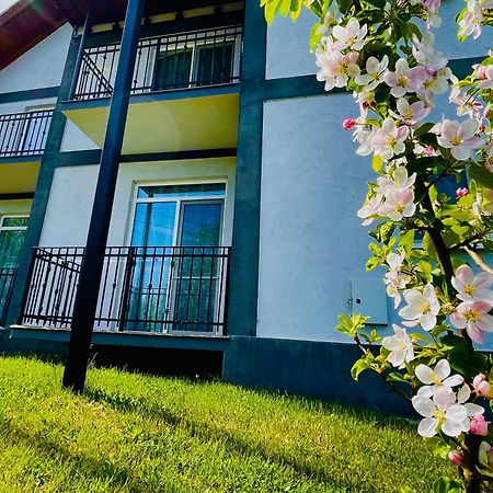 Vila Salzburg Hotel Ocna Sibiului Eksteriør billede