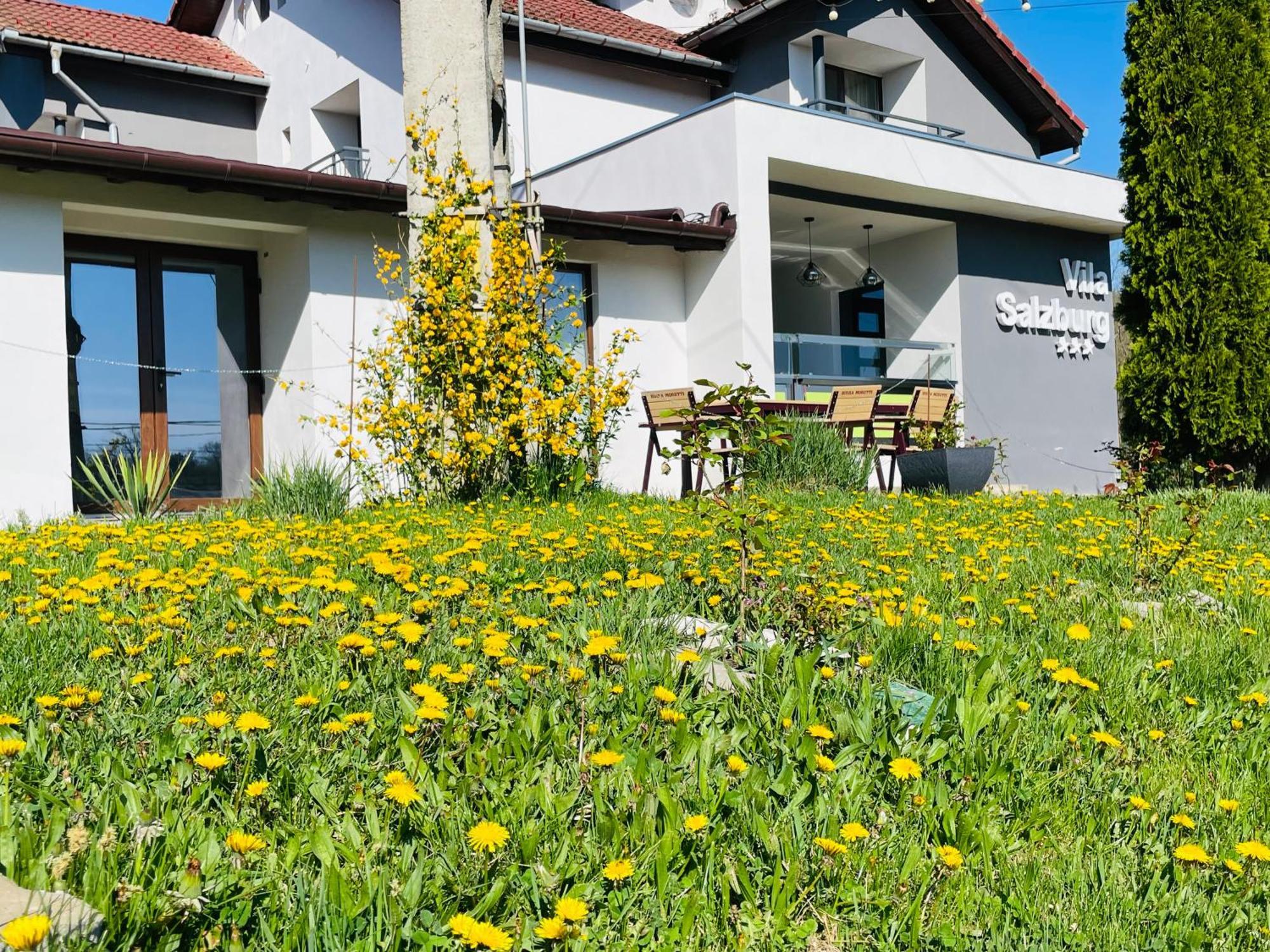 Vila Salzburg Hotel Ocna Sibiului Eksteriør billede